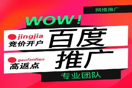 SEM代运营案例分析：精准投放策略解析